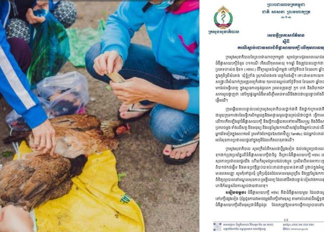 ករណីស្លាប់ដោយសារជំងឺផ្តាសាយបក្សី លើកុមារាអាយុ១១ឆ្នាំ